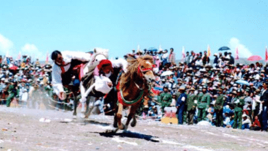 gazettedupmu2 blogspot